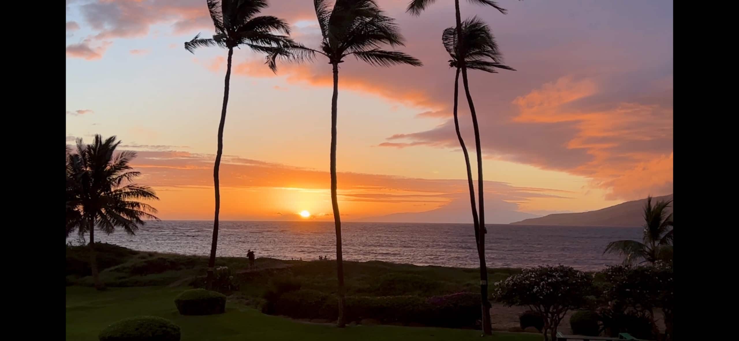 Condo in Kihei · ★4.94 · 1 bedroom · 2 beds · 1 private bath - Image 27