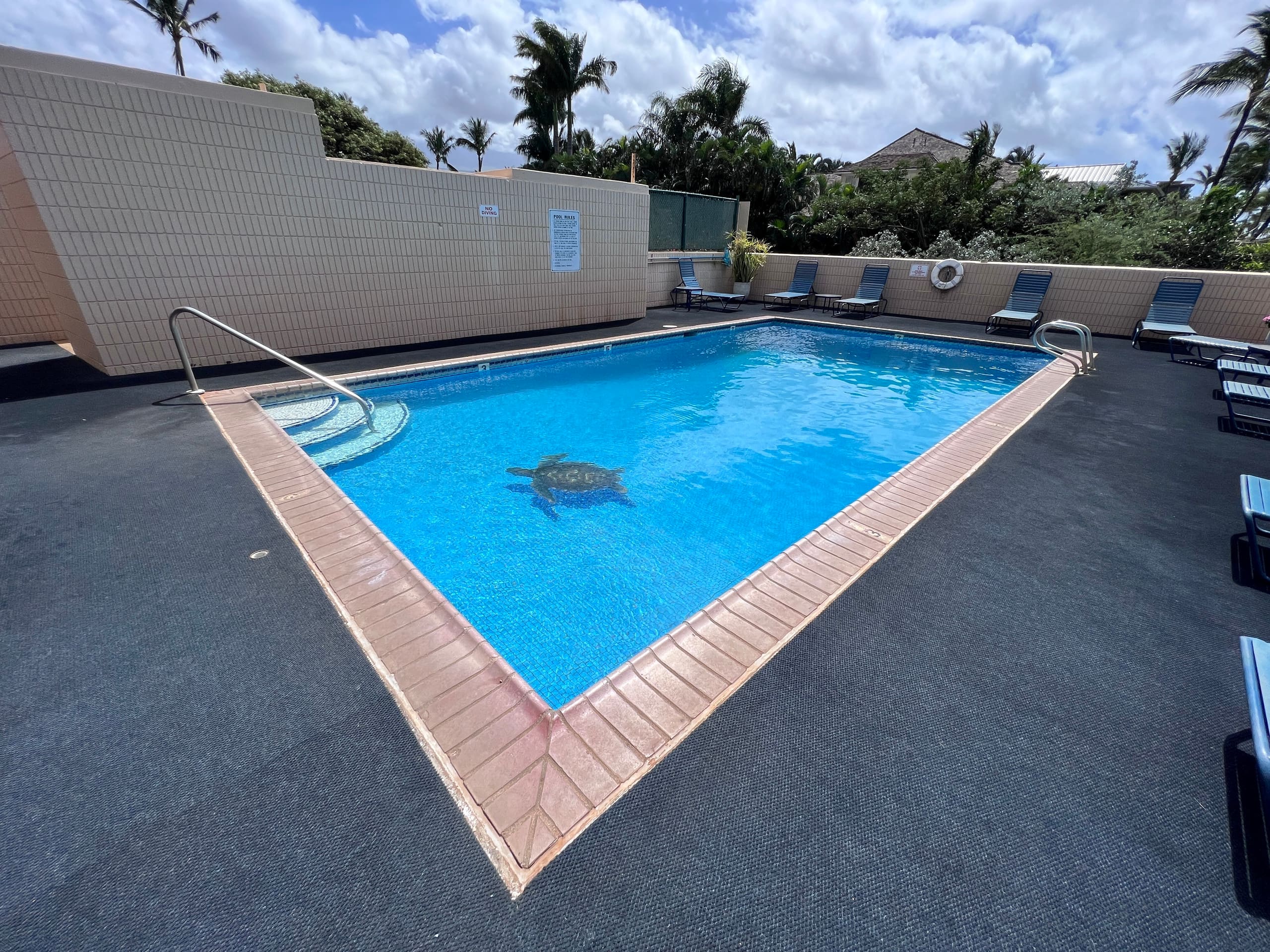 Condo in Kihei · ★4.94 · 1 bedroom · 2 beds · 1 private bath - Image 41