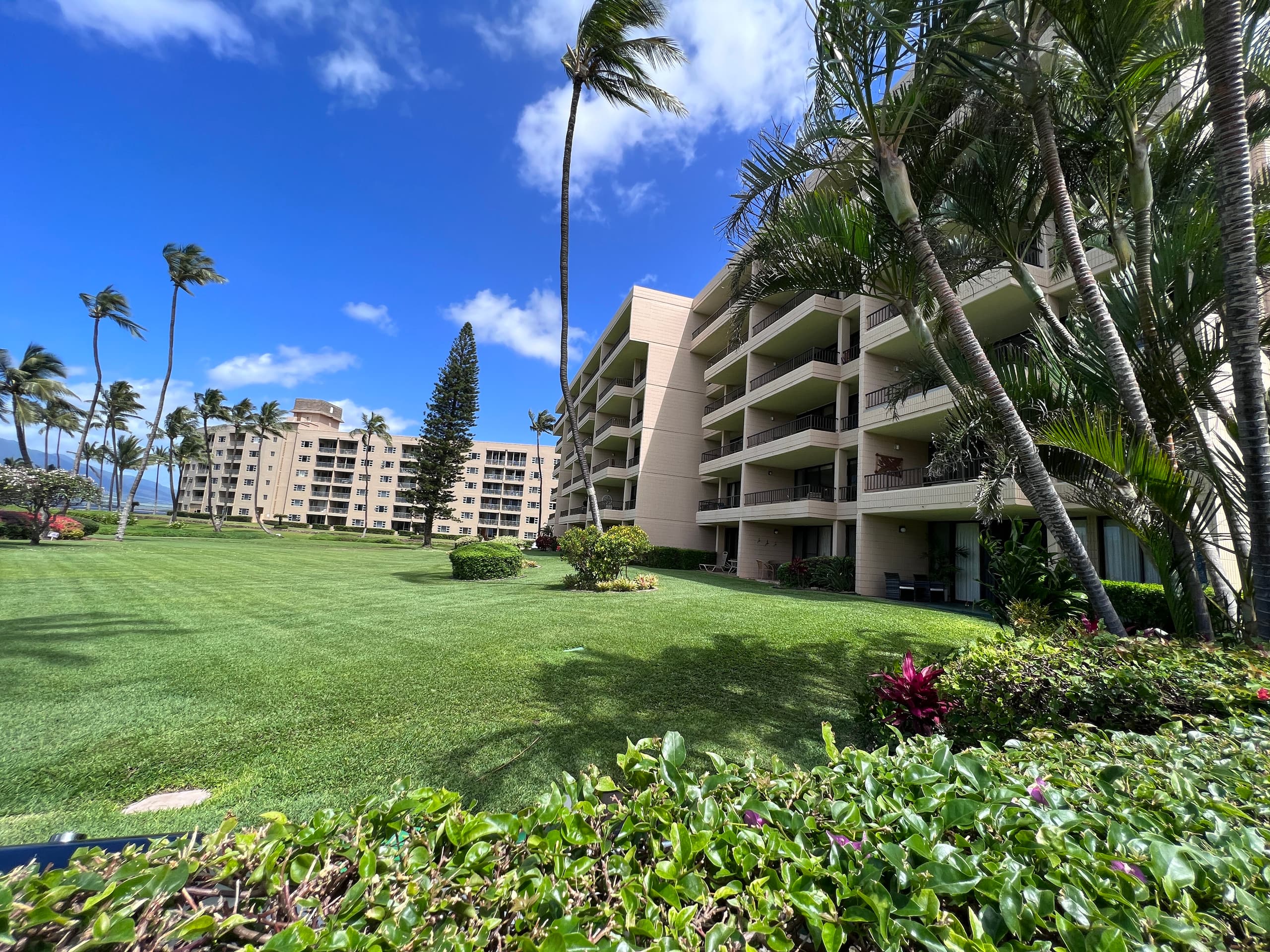 Condo in Kihei · ★4.94 · 1 bedroom · 2 beds · 1 private bath - Image 23