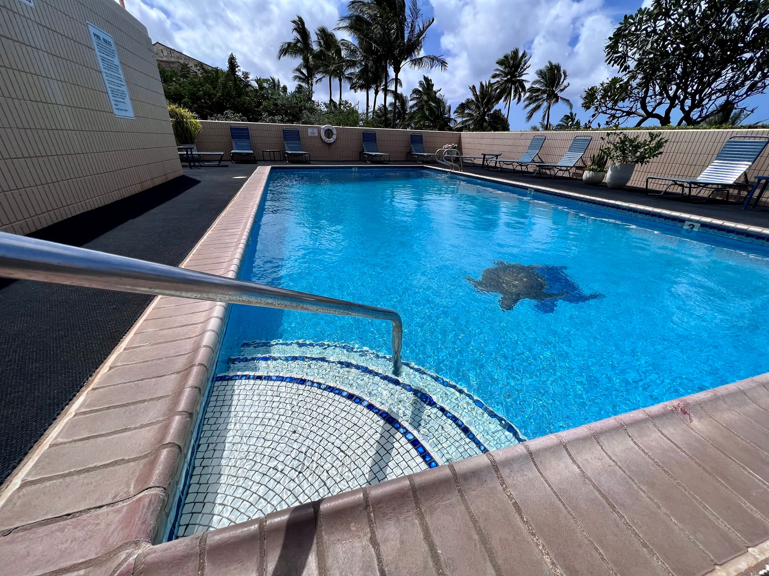 Condo in Kihei · ★4.94 · 1 bedroom · 2 beds · 1 private bath - Image 40