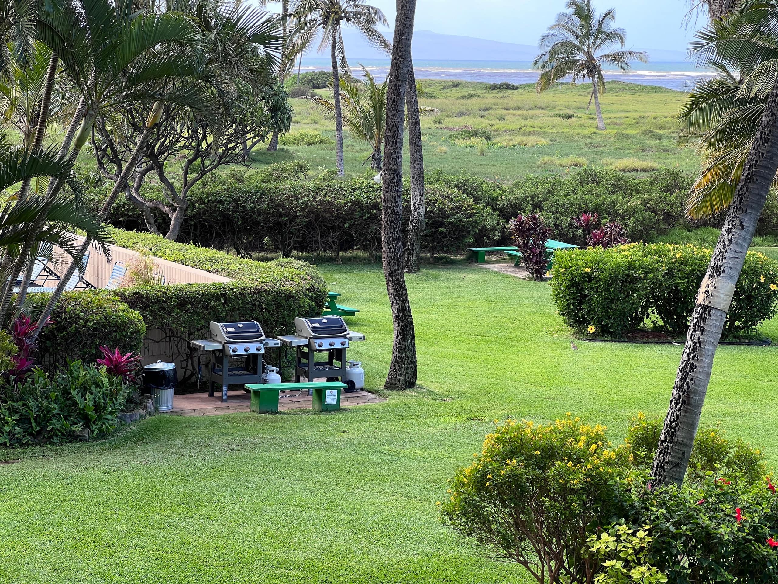 Condo in Kihei · ★4.94 · 1 bedroom · 2 beds · 1 private bath - Image 22