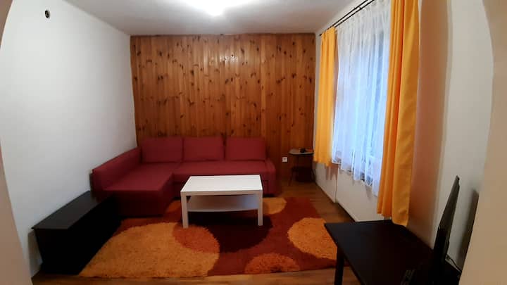 منطقة غرفة المعيشة التي تتصل بالمطبخ. تخدم هذه المساحة أيضًا شخصين بالغين إضافيين للنوم بعد فتح الأريكة.