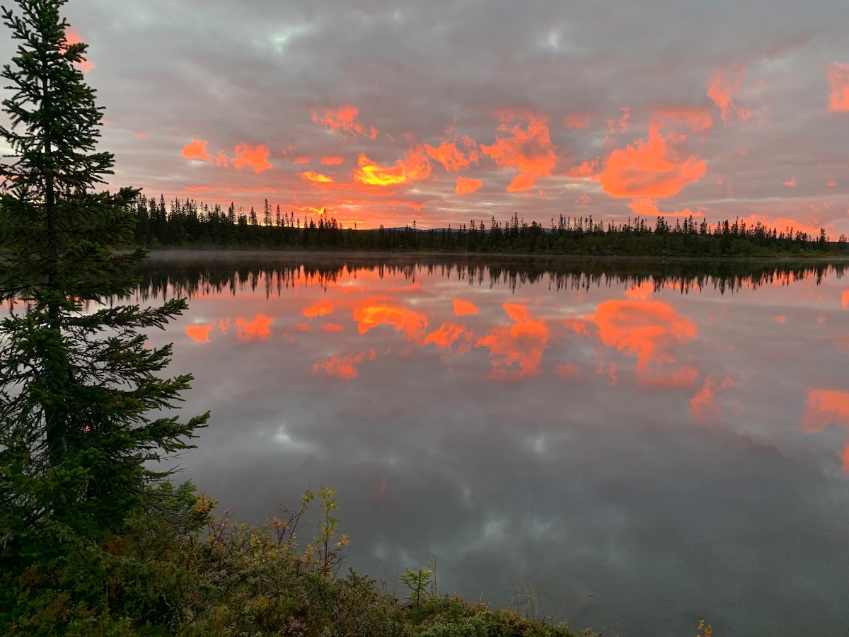 A serene lake reflects vibrant orange and pink hues of the sunset, creating a picturesque scene. Surrounding evergreen trees frame the view, and the calm water mirrors the colorful sky, enhancing the tranquility of this natural setting.
