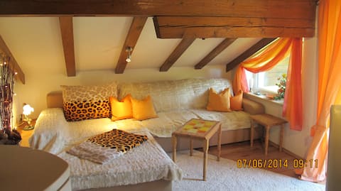 Popular Airbnb listing: Attic apartment on ski slope and summer mountain railway tickets in Mittelberg