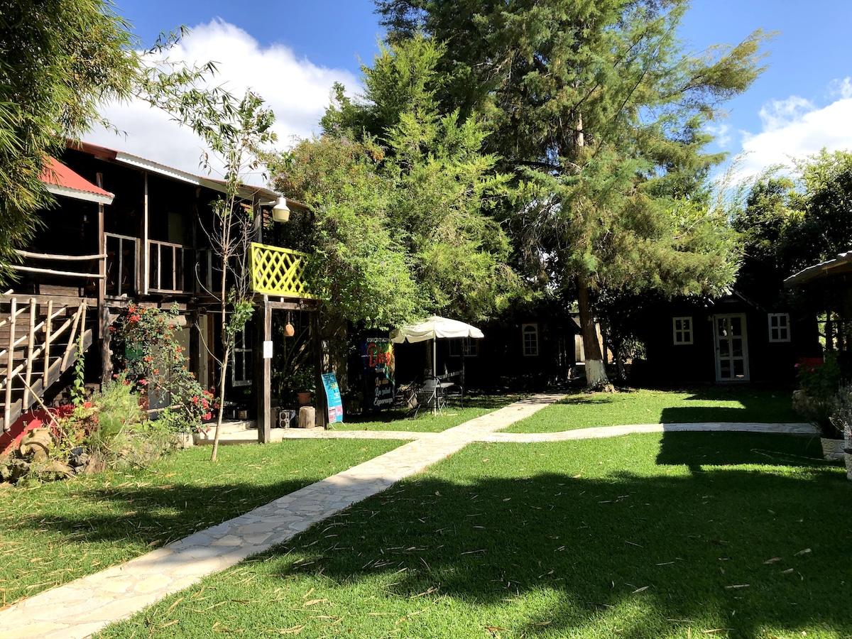 The image captures a serene outdoor space surrounded by greenery, featuring two wooden structures. A stone pathway leads through the lush grass, connecting the buildings. In the foreground, a shaded seating area is visible, complemented by vibrant plants and trees throughout the scene.