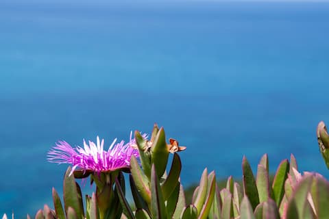 Casa Maestrale right on the cliff