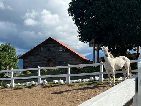 Cielito Lindo Cabin!