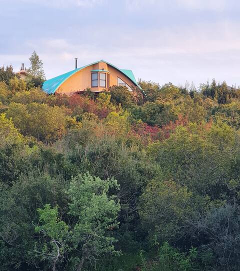 A magical home in the grove