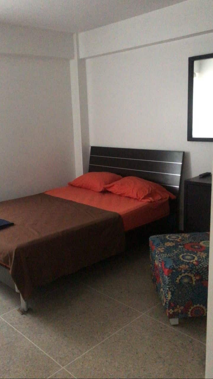 Master bedroom with closet double bed, TV, mirror and night table