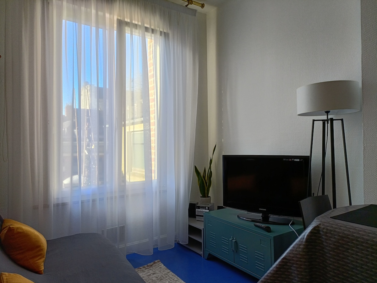 Popular Airbnb listing: Cathedral view, spacious, quiet (40 m²) in Arras