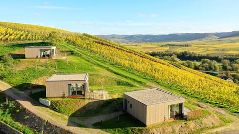 Leistungsstarkes Airbnb: MoselHoch 3 in Rheinland Pfalz