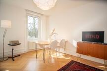 Spacious apartment next to park with BaselCard in Basel-Stadt, CH