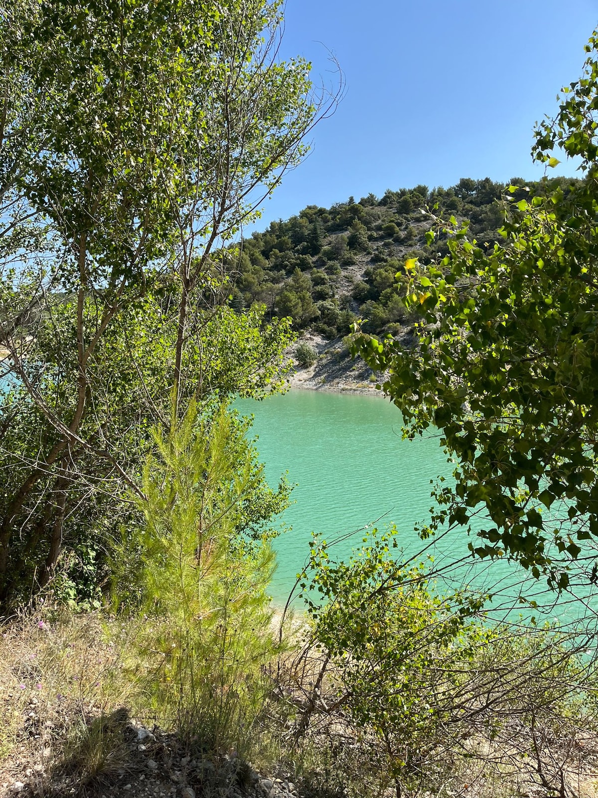 A serene natural landscape is depicted, with vibrant green waters reflecting sunlight surrounded by trees. The shoreline is partially visible, framed by various plants, leading to gentle hills in the background. A clear blue sky adds to the tranquil atmosphere.