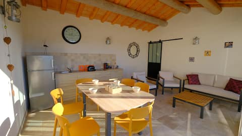 Villa of olive trees with pool near Ventoux