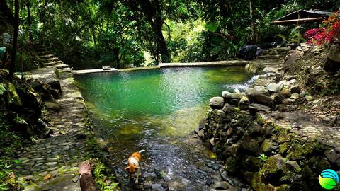 A little slice of paradise - Cascadia Cocorná