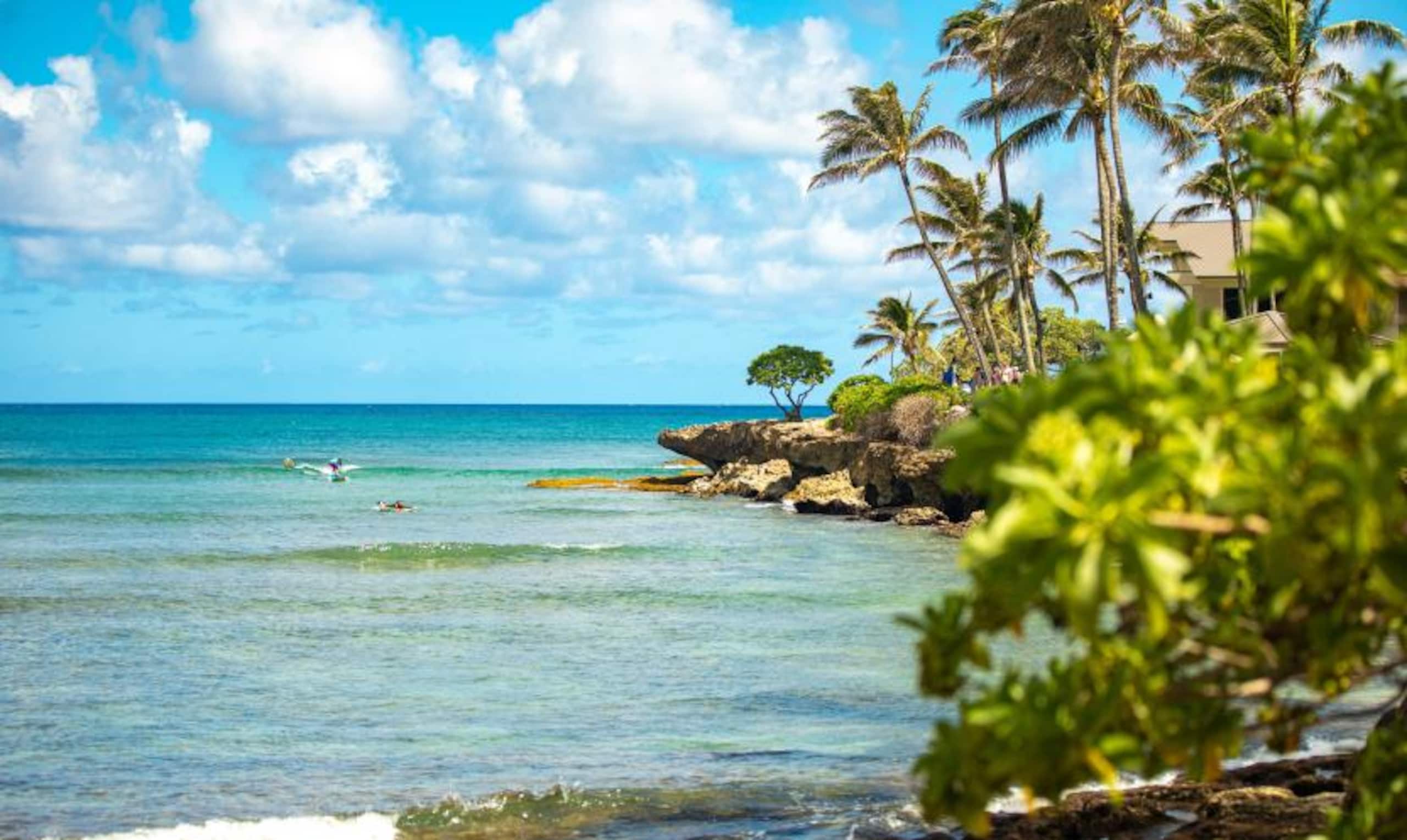 Turtle Bay Bungalow- Parking, AC & Walk to Beach - Image 38