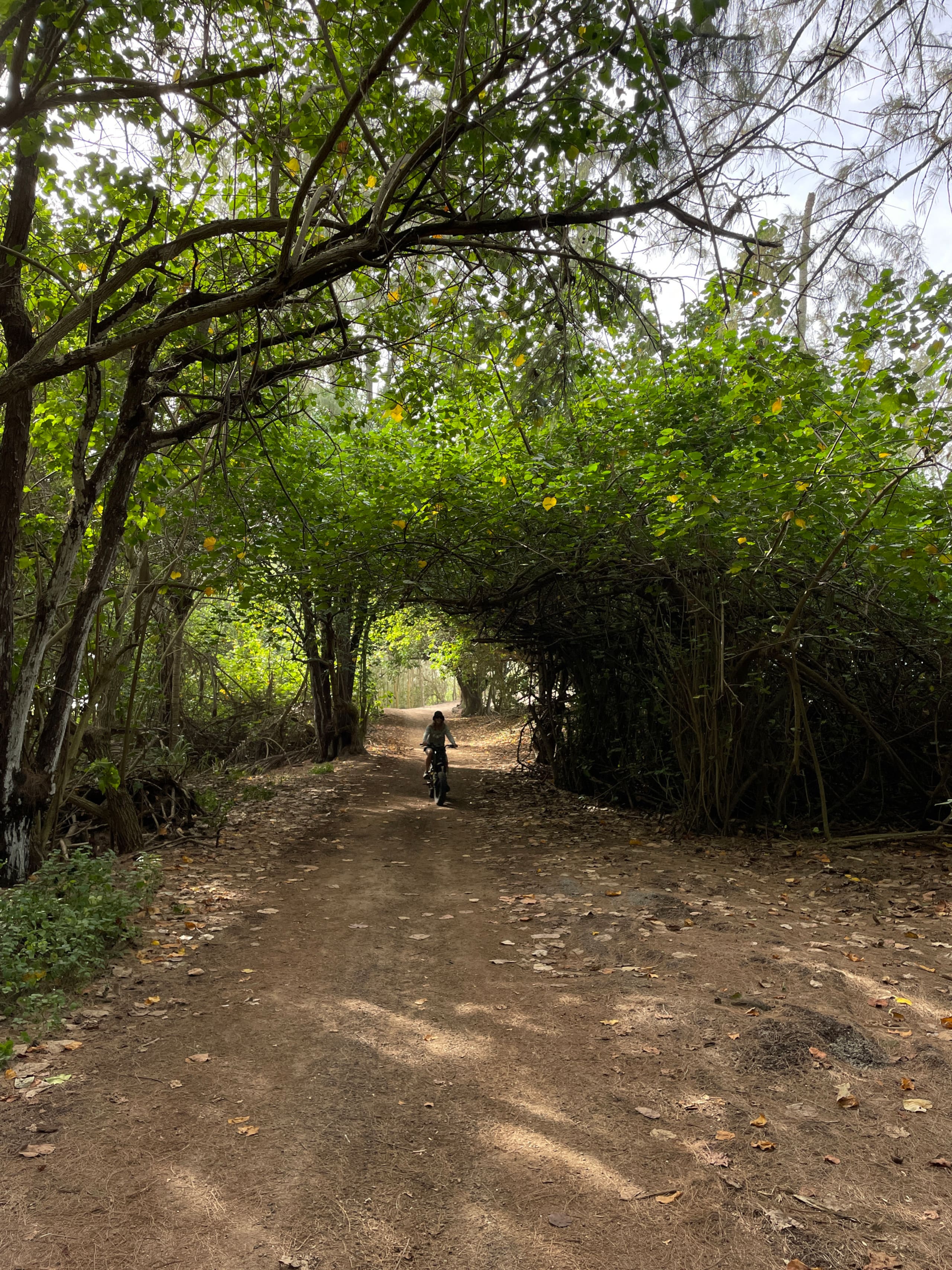 Turtle Bay Bungalow- Parking, AC & Walk to Beach - Image 40