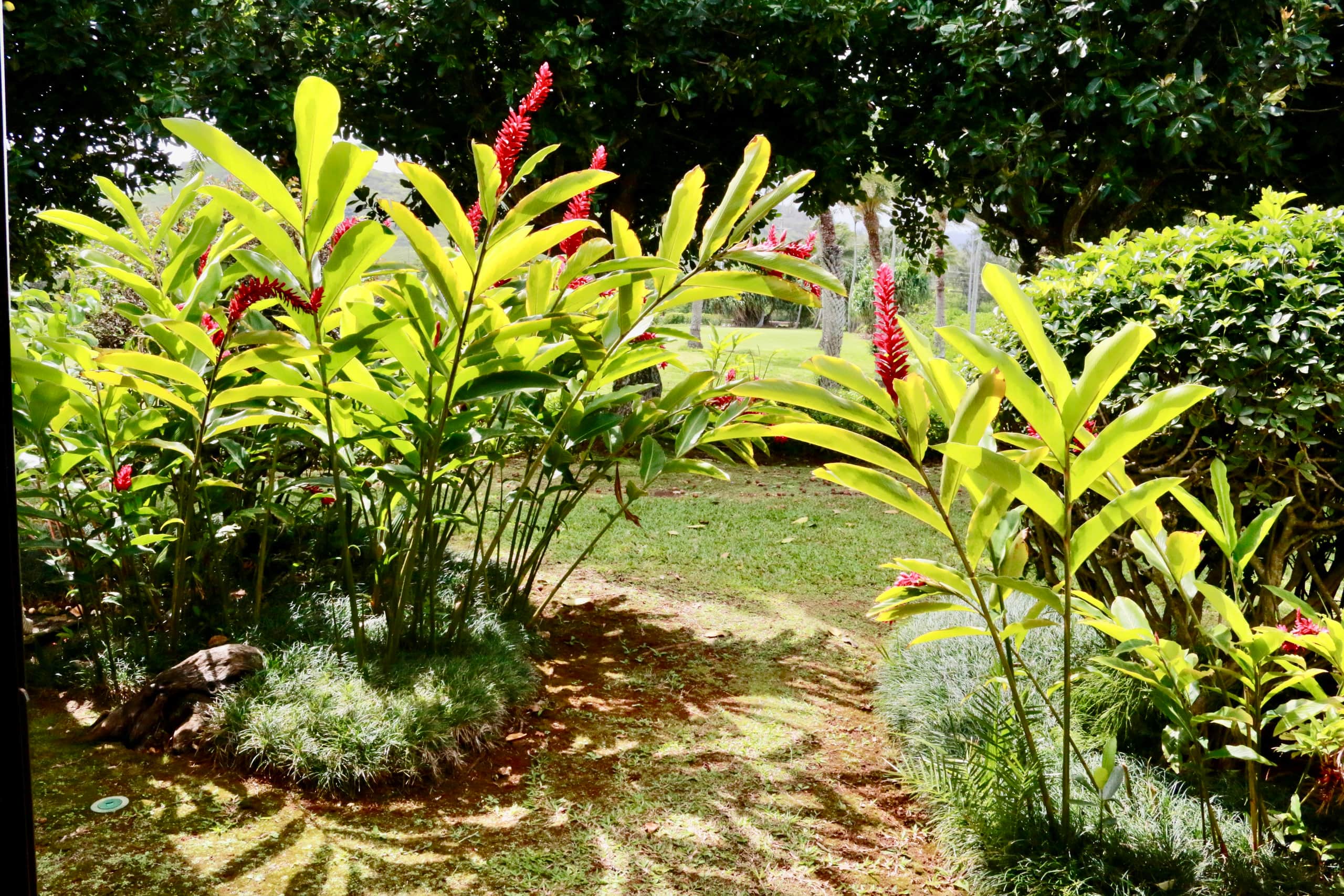 Turtle Bay Bungalow- Parking, AC & Walk to Beach - Image 23