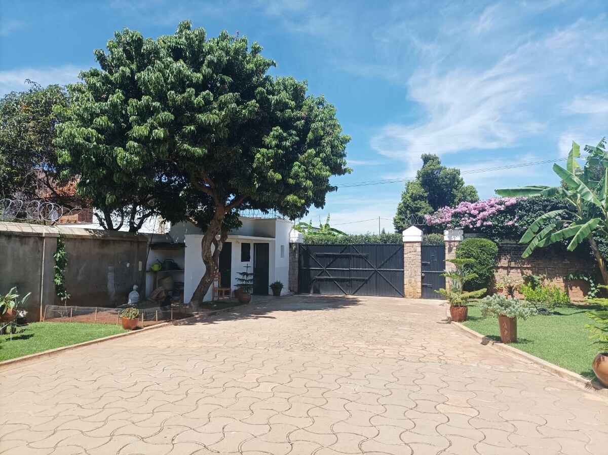 A well-maintained outdoor area features a large tree providing shade. The entrance gate is framed by greenery, with decorative plants in terracotta pots lining the pathway. The driveway is paved and spacious, leading to a welcoming entry to the property.