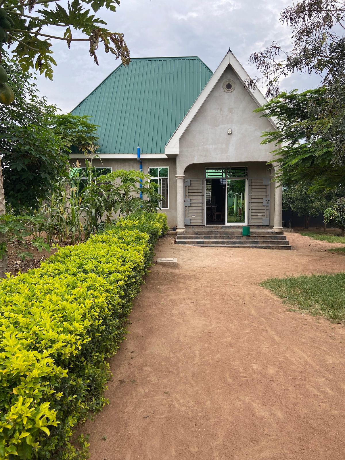 A modern house with a green metal roof is framed by lush greenery. A clear pathway leads to the entrance, which is flanked by large windows. The surrounding landscape features well-maintained shrubs and trees, providing a welcoming view of the property.