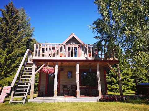 Forest stew wellness