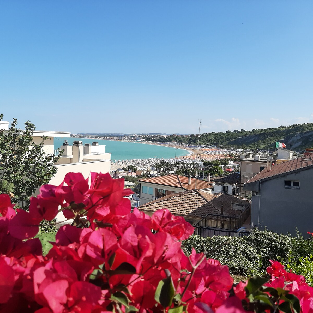 A view of the coastline is framed by vibrant pink bougainvillea flowers. The shoreline displays sandy beaches and calm waters, with distant hills and clusters of buildings visible. A clear blue sky completes the scenic outdoor atmosphere.