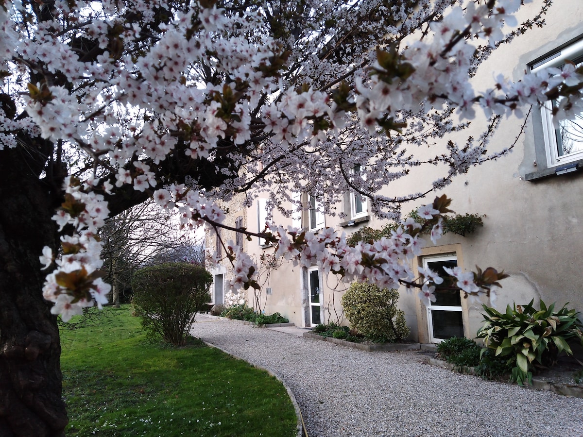 A serene view of a pathway lined with blooming cherry blossoms, leading to a stone wall structure with multiple windows. The lush green grass is complemented by neatly trimmed bushes, creating a tranquil outdoor setting.