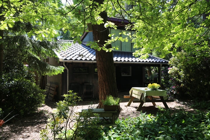 A charming wooden house is nestled among lush greenery, set beneath a canopy of vibrant leaves. A picnic table with a patterned cloth is positioned in front, offering a serene outdoor space. Sunlight filters through the branches, enhancing the natural ambiance.