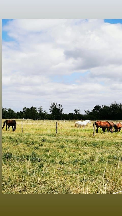 Maison dans Marais Poitevin