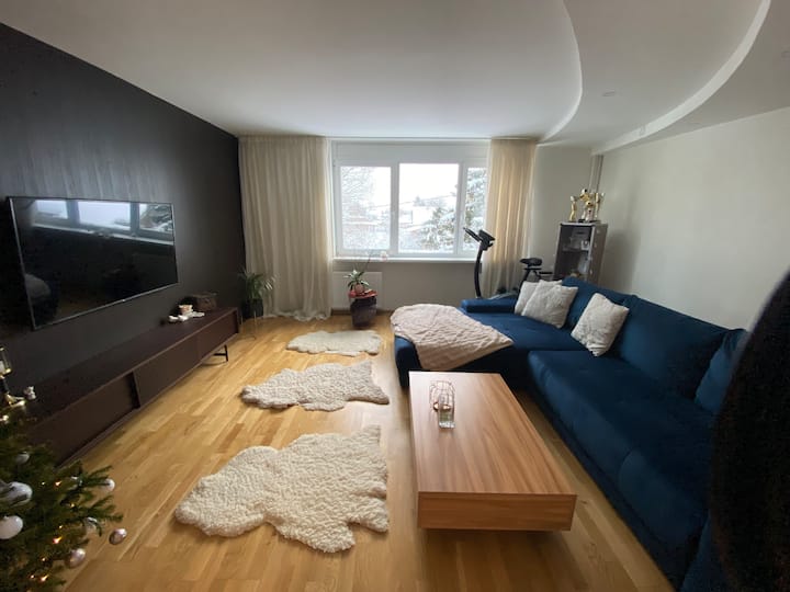 Romantic and quality apartment Apartments for Rent in Laagri, Harju