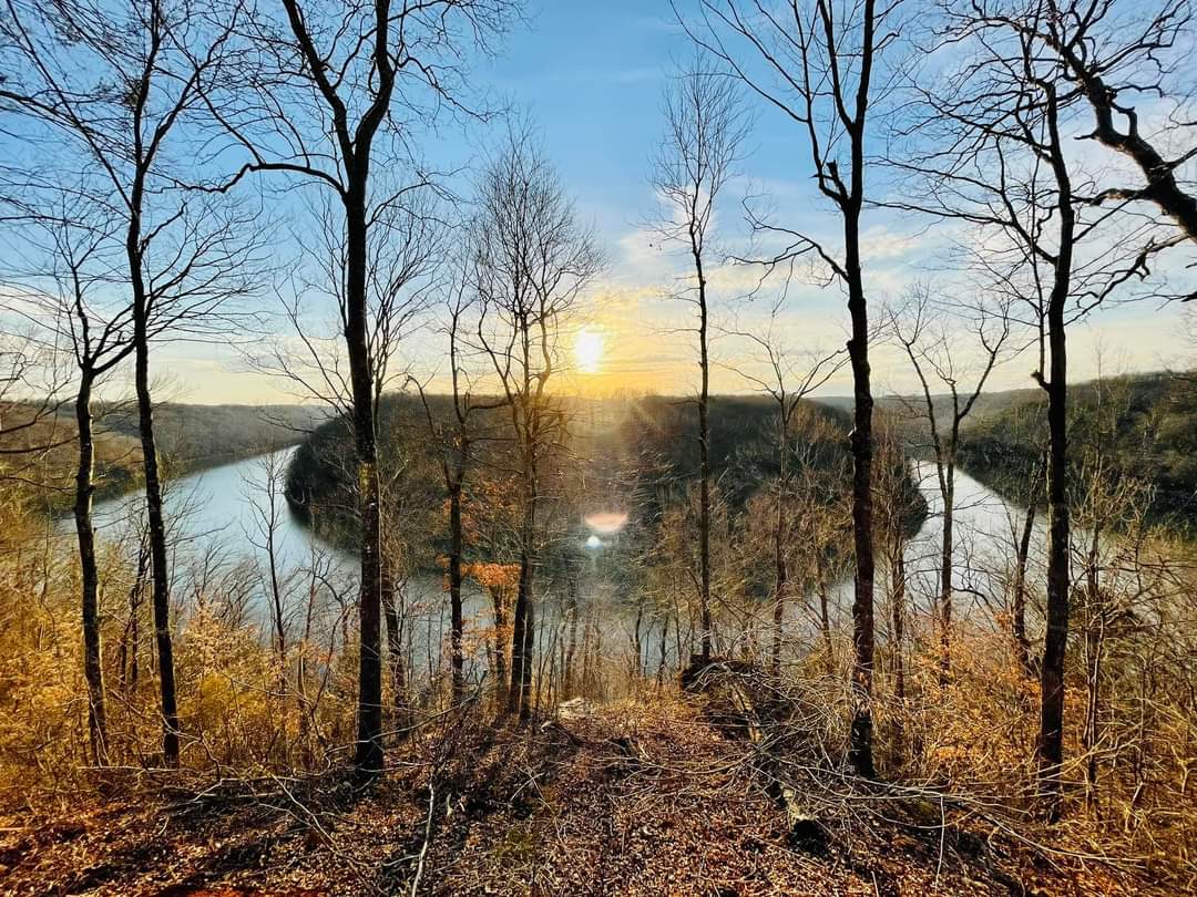 A serene view of a sunlit lake is framed by bare trees, with the golden sun reflecting on the water's surface. The surrounding landscape features gentle hills and undisturbed natural surroundings, inviting a sense of tranquility.