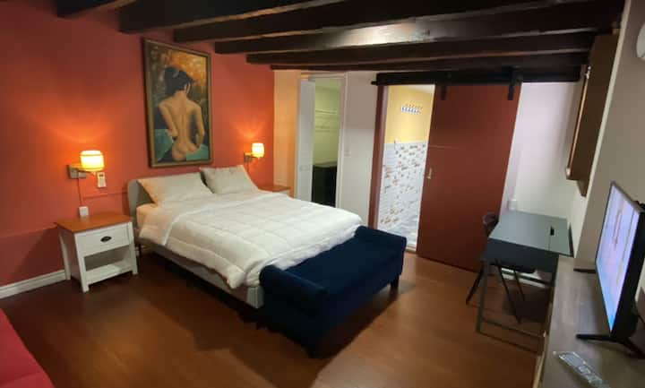 Spacious Private Suite #17  In Historic Downtown - Montevideo