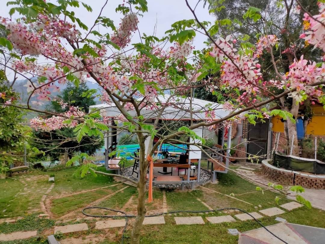 A peaceful outdoor scene is presented, featuring a structure surrounded by blooming pink flowers. A pathway leads to the building, which is framed by lush greenery. The area offers an inviting atmosphere, ideal for relaxation and enjoying nature.