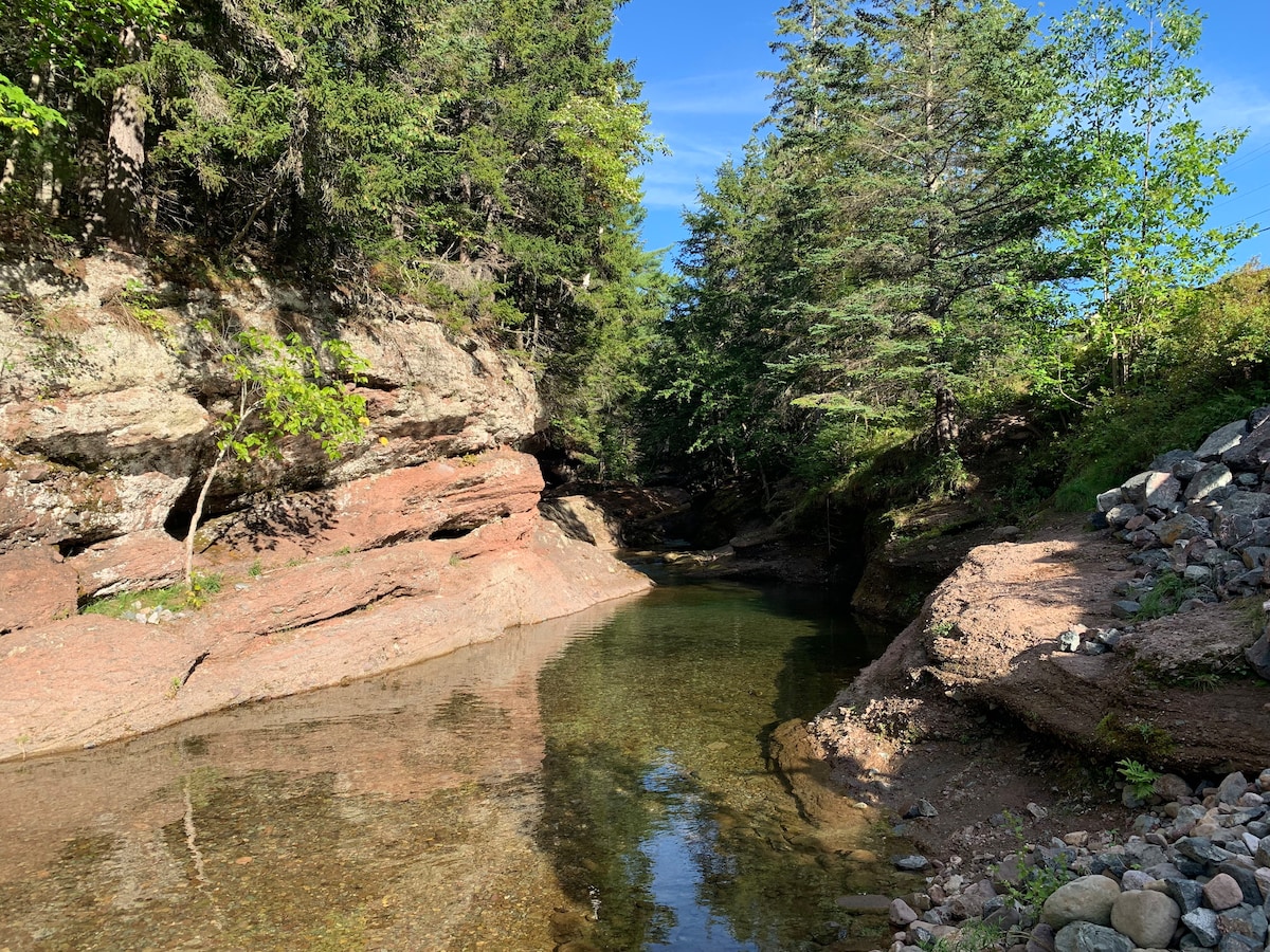 A serene natural landscape features a clear waterway surrounded by towering trees and rocky terrain. The sunlight reflects off the water, enhancing the earthy tones of the surrounding rocks and foliage.