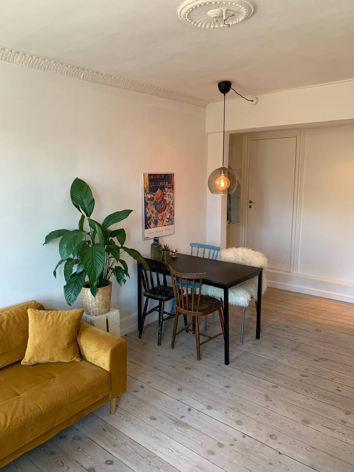 Cozy apartment in Nørrebro Apartments for Rent in Copenhagen, Denmark