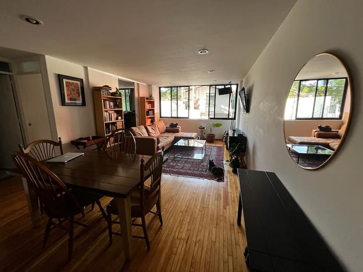 Cosy single room in shared sunny flat Apartments for Rent in Mexico