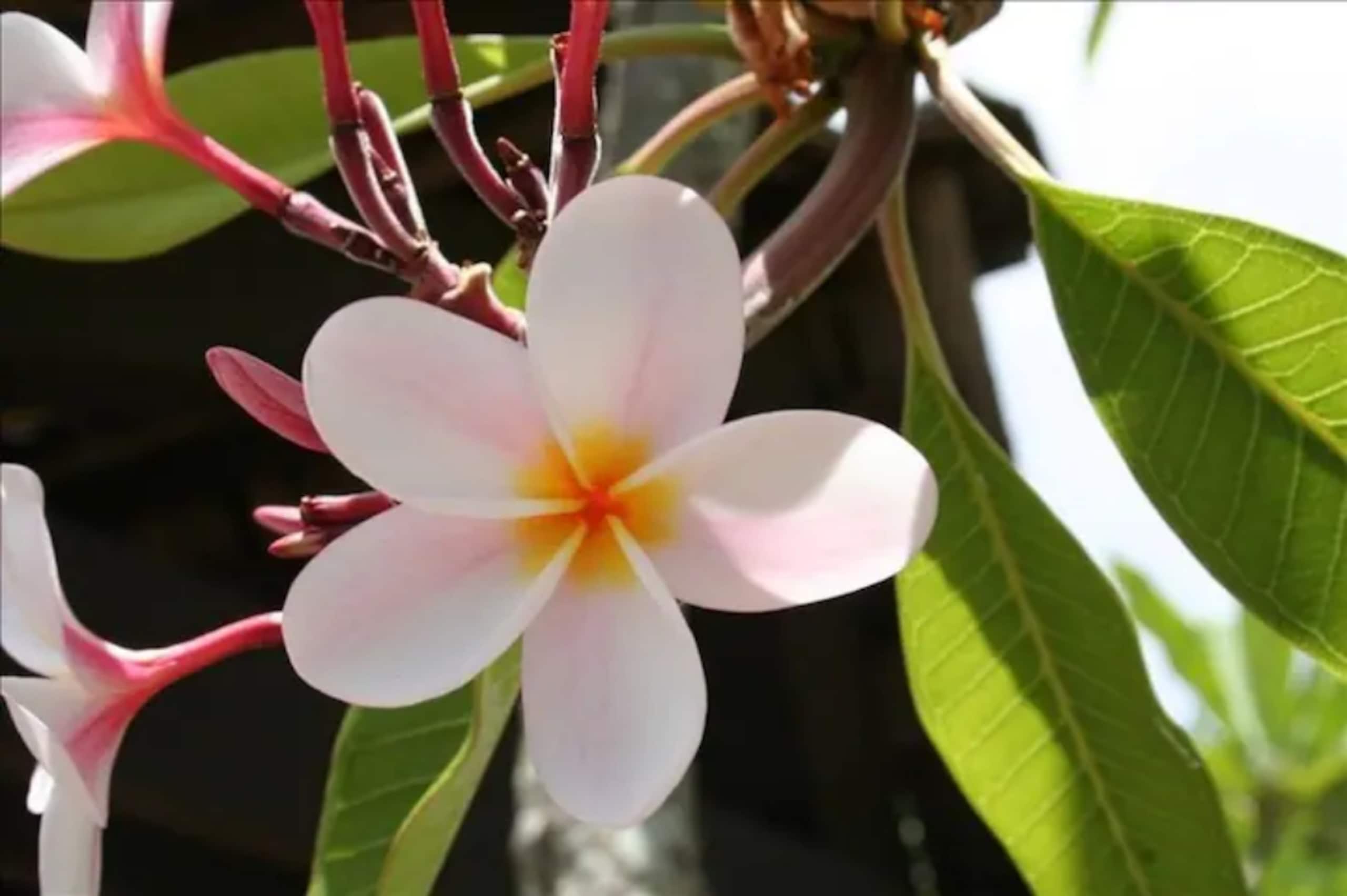 Fabulous location Waikiki Grand Hotel - Image 34