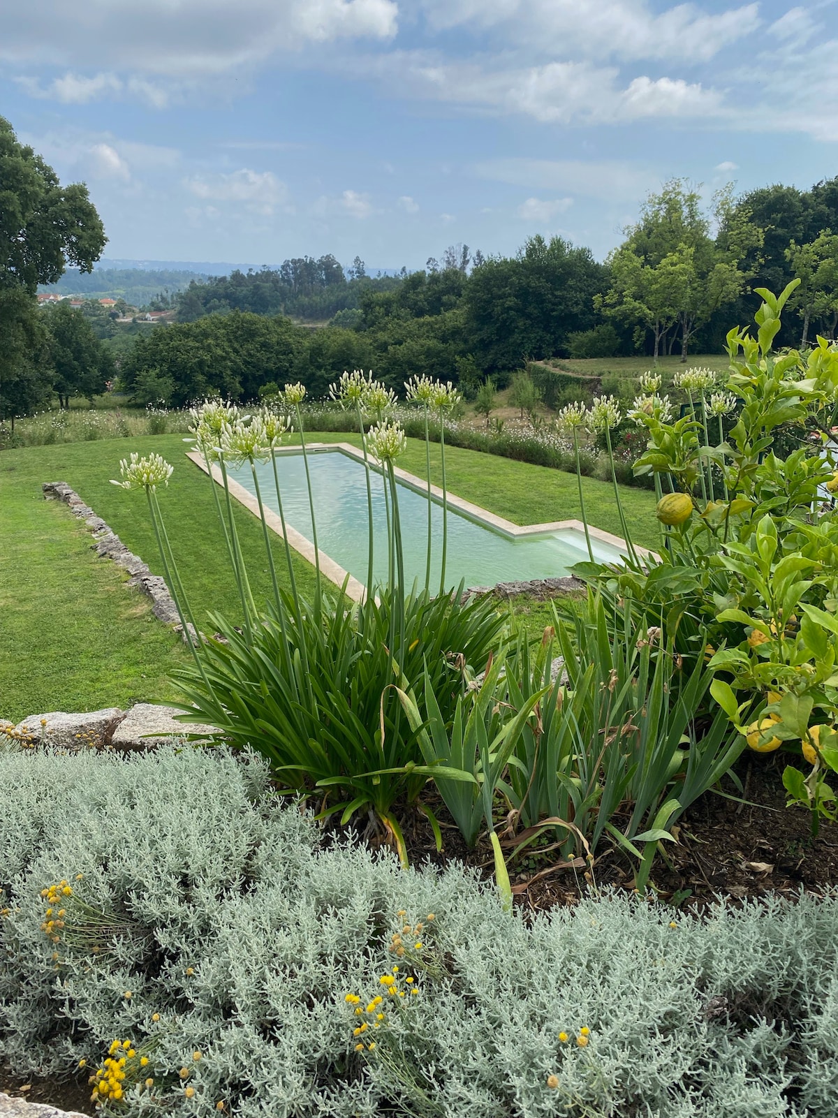 A serene pool is framed by lush landscapes, featuring a well-maintained lawn and various flowering plants. The clear water reflects the sky, while the surrounding greenery provides a tranquil atmosphere, creating an inviting outdoor space for relaxation.