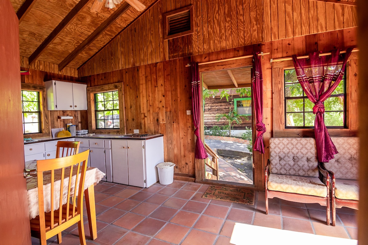An inviting cabin interior featuring wooden walls and ceiling, with sunlight streaming through the windows. A dining table with four chairs is positioned near a kitchenette. A comfortable seating area with soft fabrics is visible, leading to an outdoor pathway enhanced by lush vegetation.