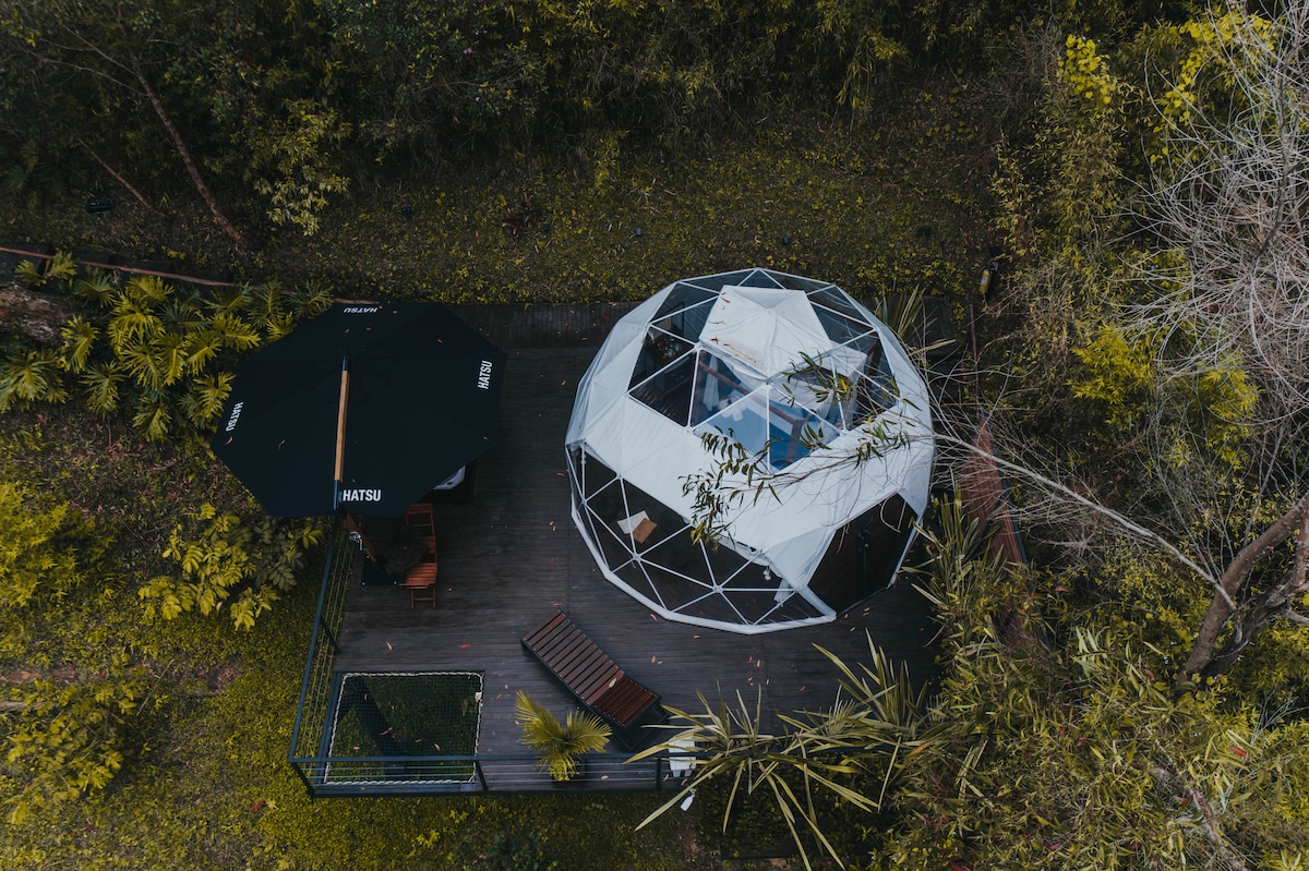 An aerial view captures a geodesic dome nestled in a lush green setting. Surrounding the structure are various trees and plants. A shaded sitting area with an umbrella and lounge chairs is visible on the deck, highlighting the connection with nature.