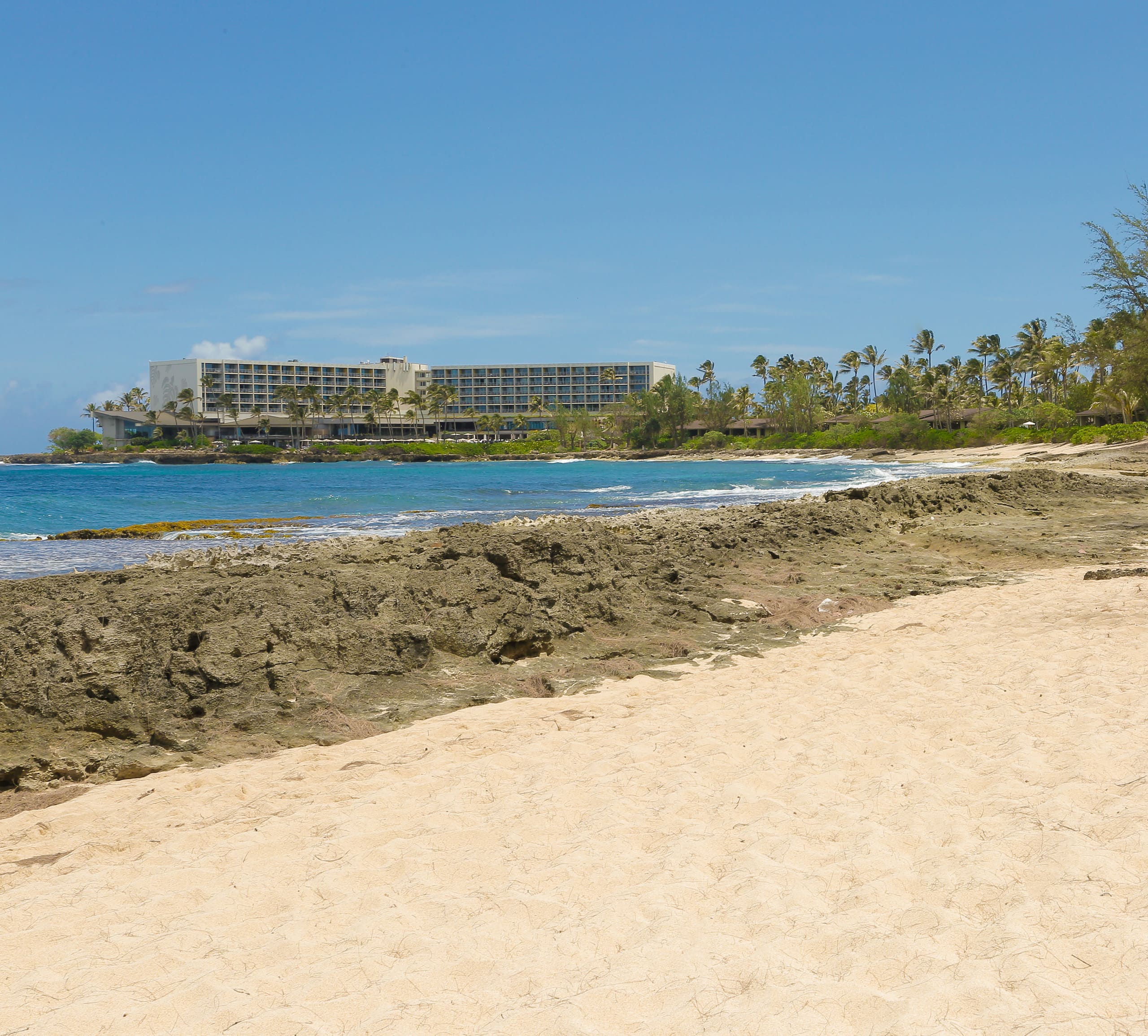 Condo in Kahuku · ★4.83 · 1 bedroom · 3 beds · 1 private bath - Image 32