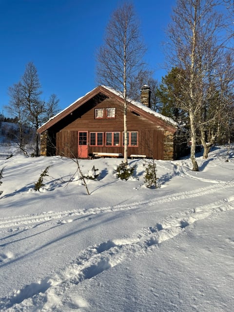 Cozy cabin in Bergsdalen. With canoe.