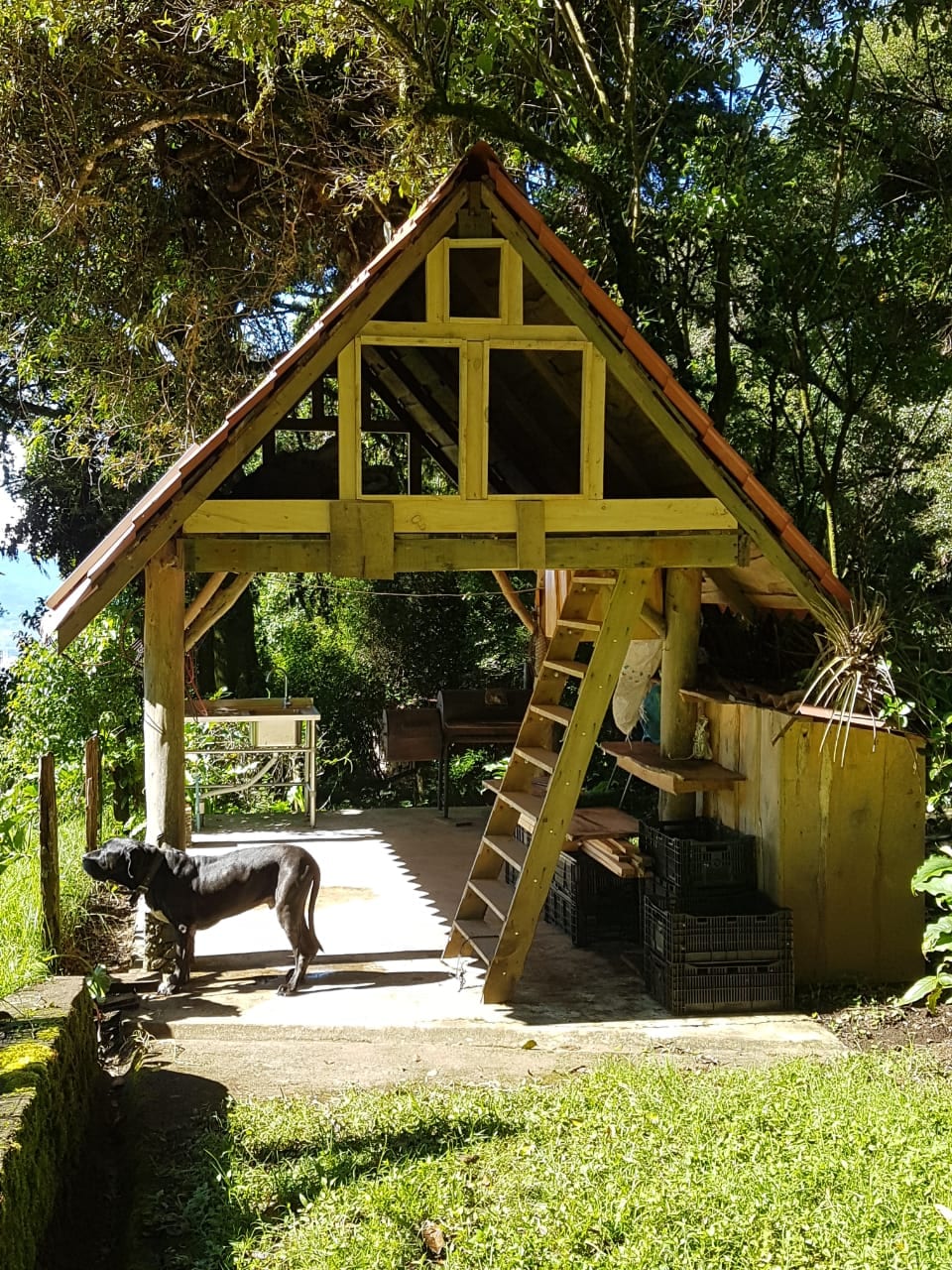 A wooden structure with a triangular roof is set amidst lush greenery. A dog is seen standing on a stone pathway in front of the building. Stairs lead up to a lofted area, while a small table and chairs are positioned to the side.