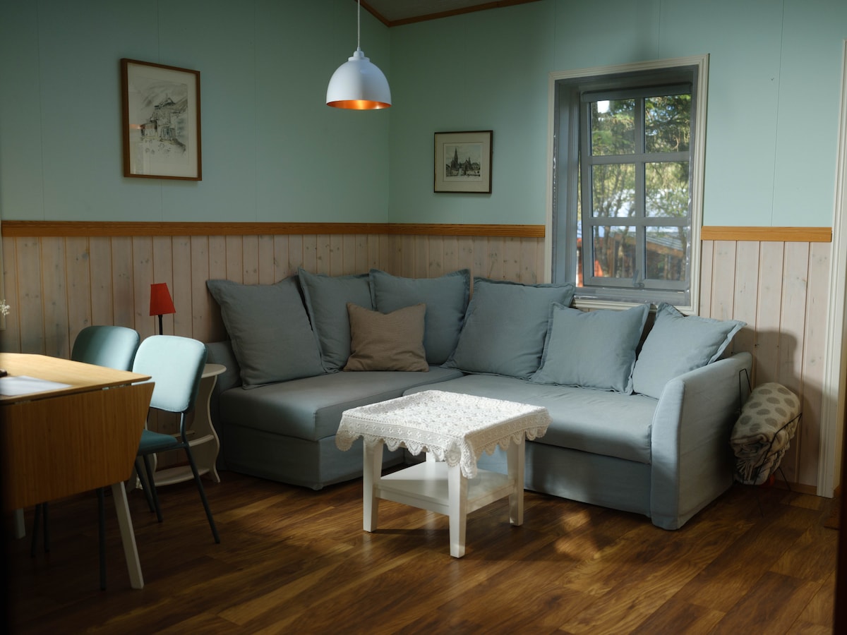 Living room with pull out sofa bed, window faceing in to the backyard and next to it is the door to the patio.