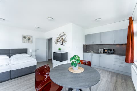 Apartment Poděbrady 1.