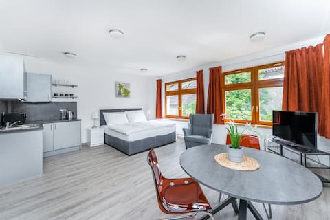 Apartment Poděbrady 2.