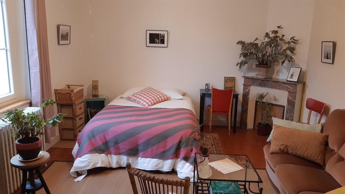 A bright and spacious room is furnished with a large bed, a cozy sofa, and a small dining table. Plants and a decorative fireplace add character to the space. Framed photos decorate the walls, providing a touch of personal history in a welcoming environment.