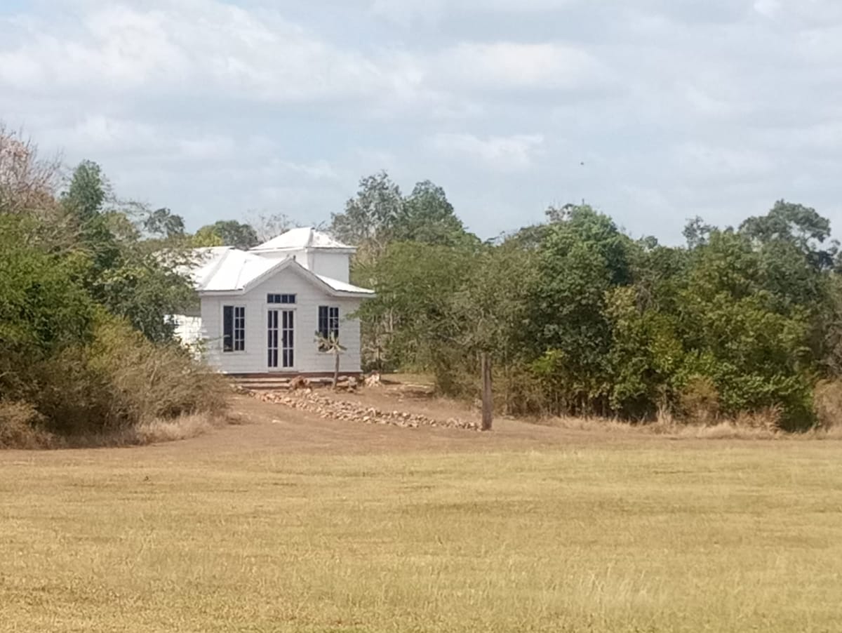A charming white cabin is set within an open landscape, surrounded by tall trees and grassy fields. The cabin features large windows that provide natural light. A pathway of stones leads to the entrance, emphasizing the natural setting.