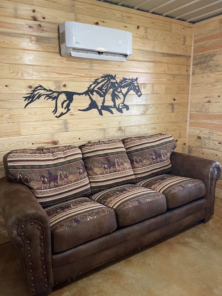 Sleeper Sofa
