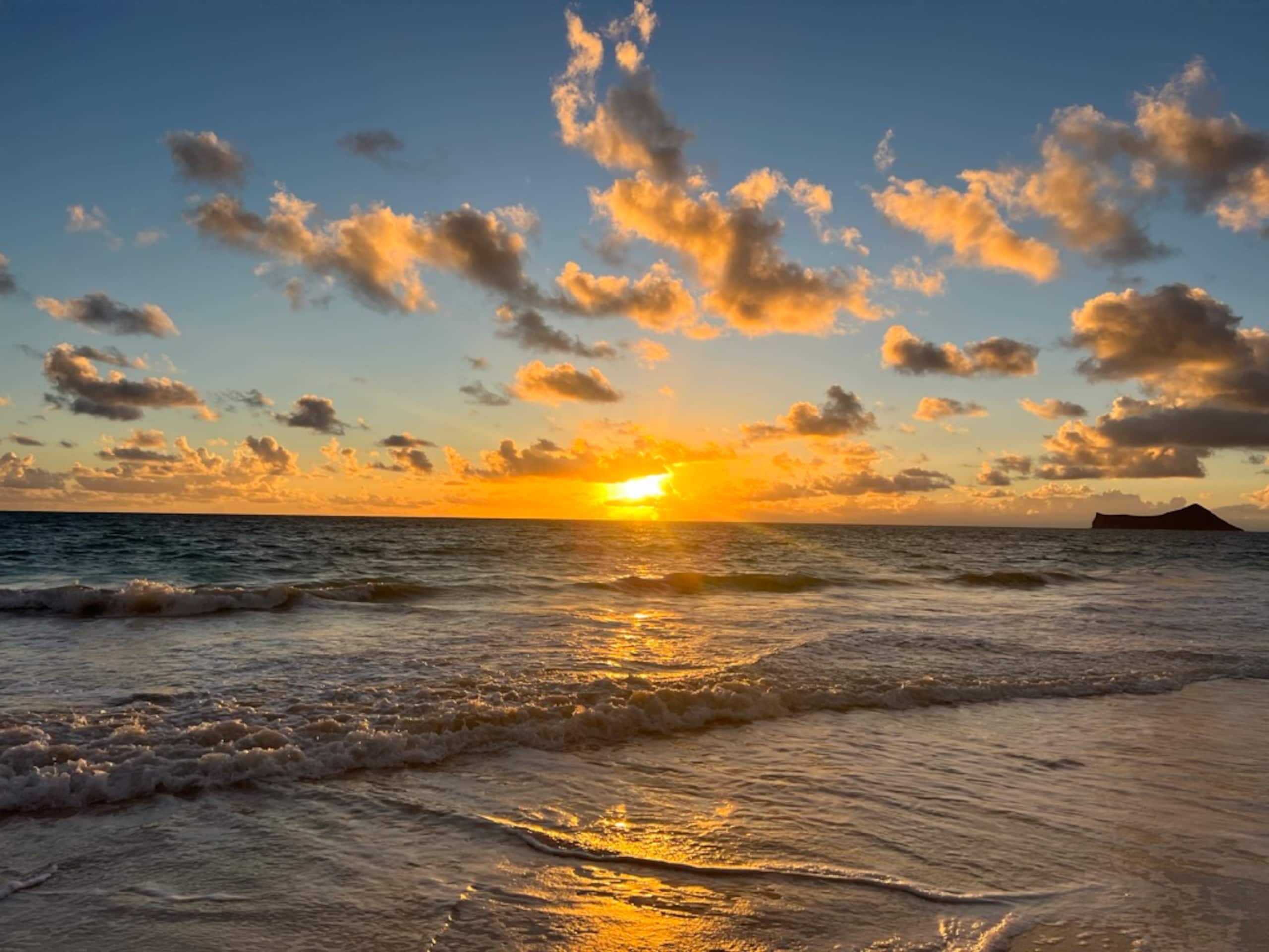 Guesthouse in Waianae · ★5.0 · Studio · 2 beds · 1 private bath - Image 26